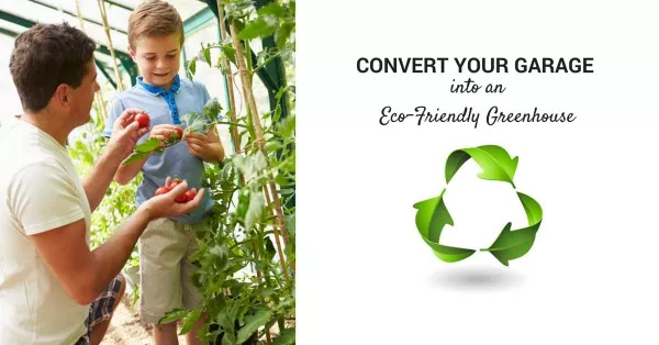 Convert Your Garage into an Eco-Friendly Greenhouse